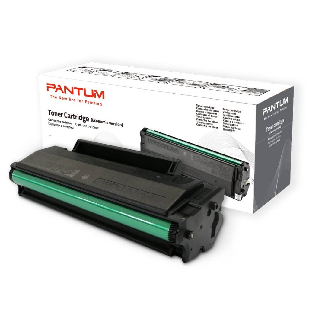 TONER PANTUM PD-219 ( P2509W )